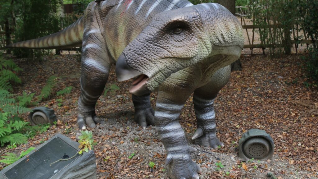 Iguanodon | Hertfordshire Zoo