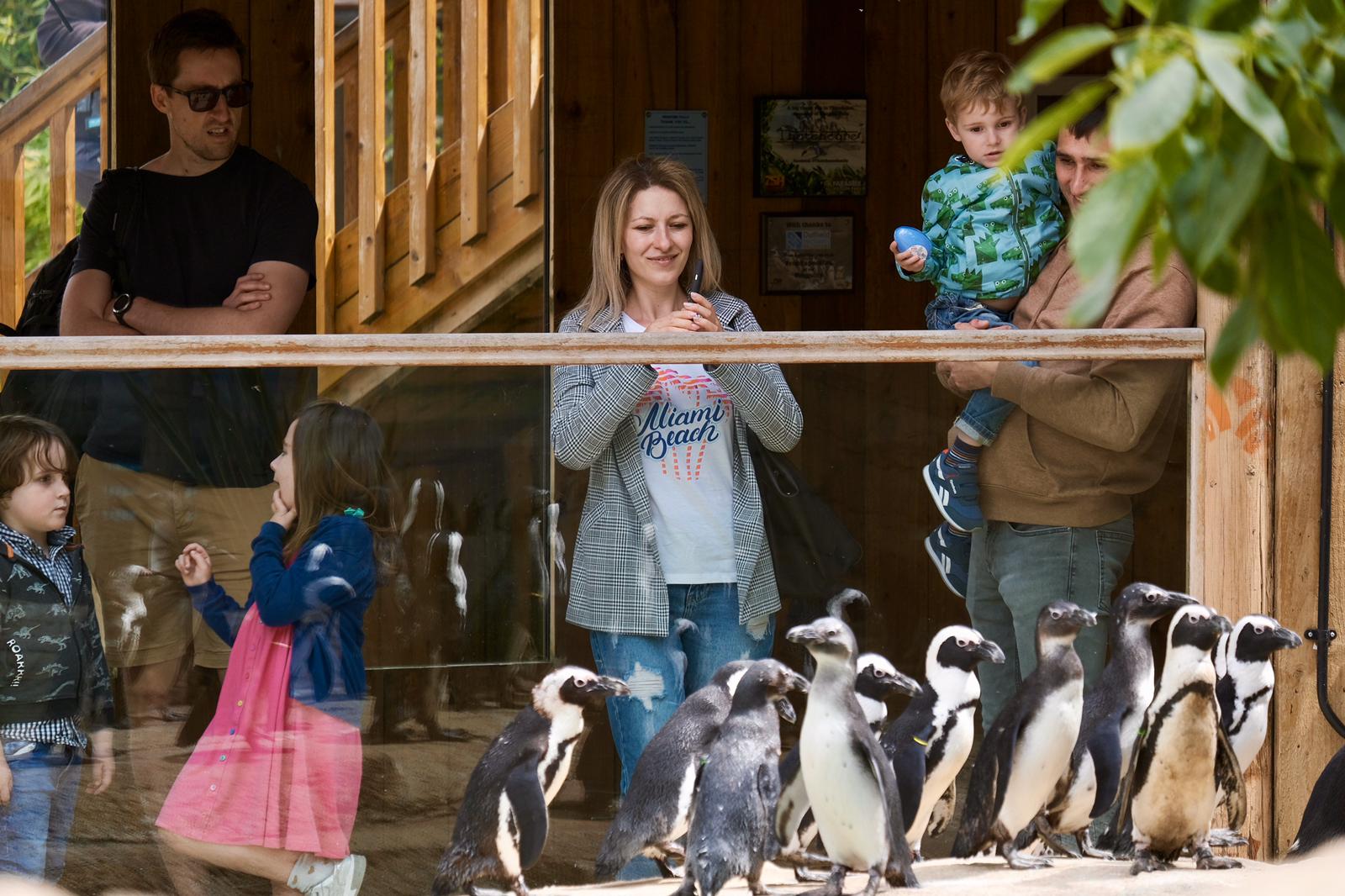 Re-opening Weekend a Big Success | Hertfordshire Zoo