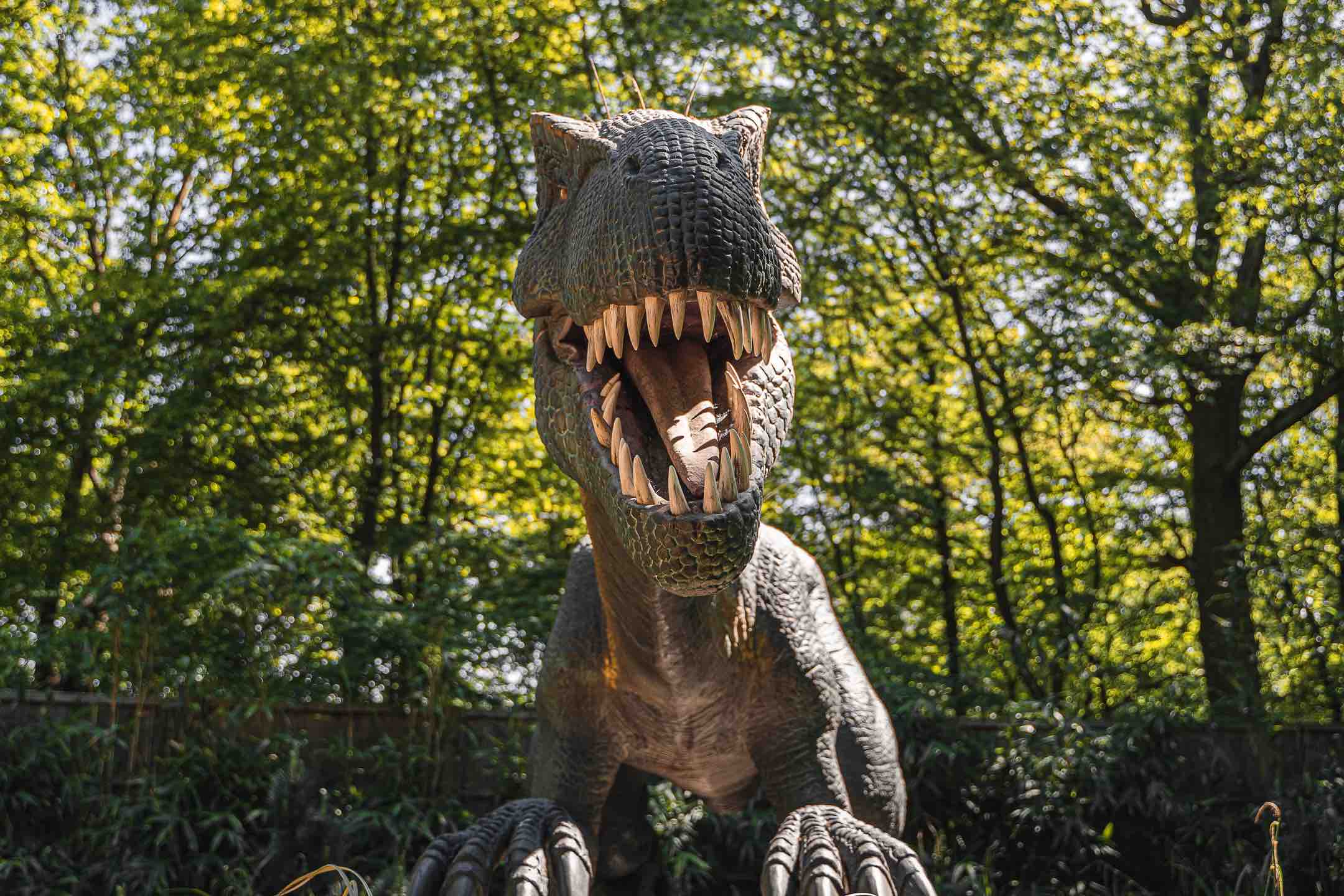 world-of-dinosaurs-dinosaur-park-in-the-uk-hertfordshire-zoo